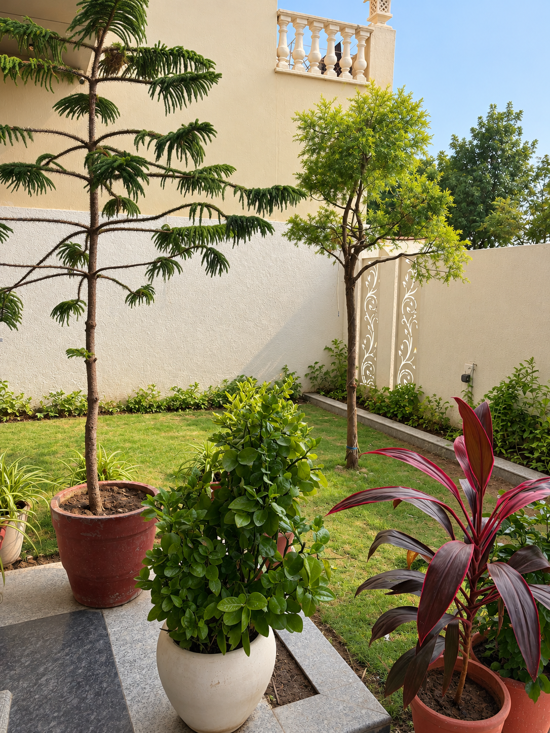 Bright, natural hotel entrance garden