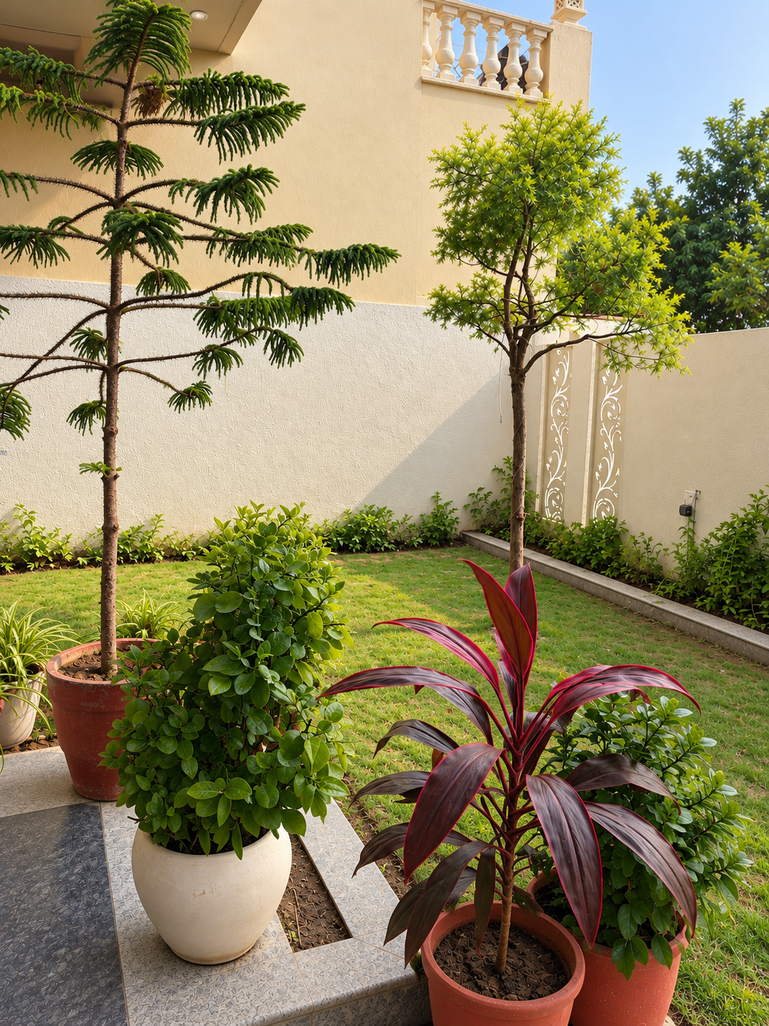 Hotel Courtyard Garden