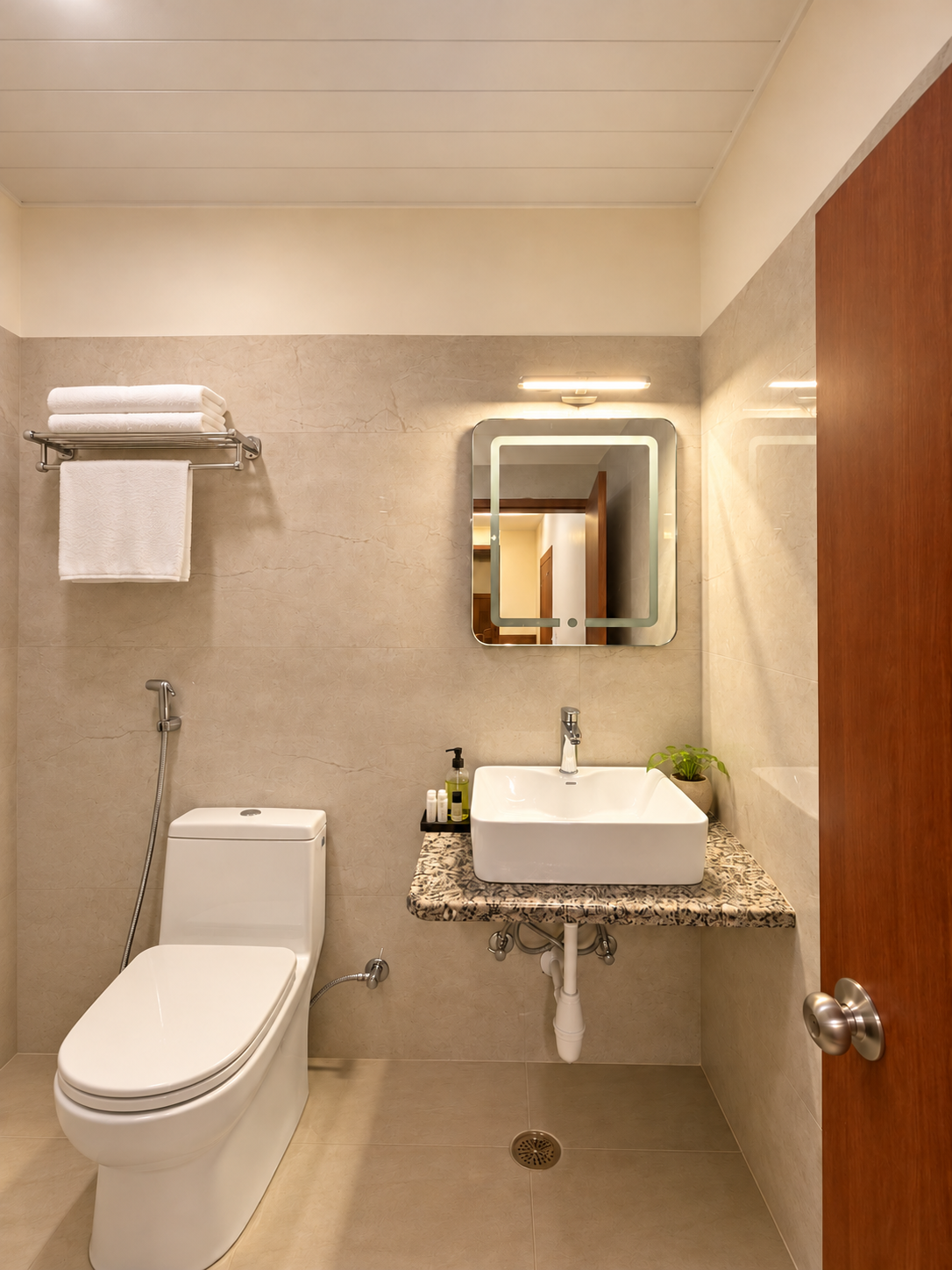 Minimalist bathroom with one tiny plant